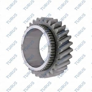 CONSTANT GEAR (29 T)